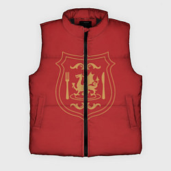 Мужской жилет Подземелье вкусностей - герб