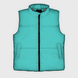 Мужской жилет Эмоция зависть - бирюзовый, цвет: 3D-светло-серый
