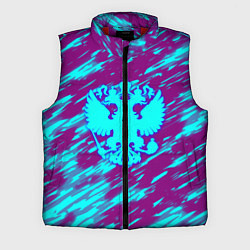 Мужской жилет Герб РФ холодные краски