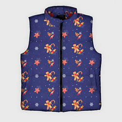 Мужской жилет Сладости и снег