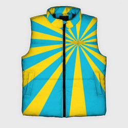 Мужской жилет Воздушно-космические силы