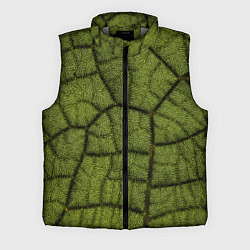 Мужской жилет Микромир