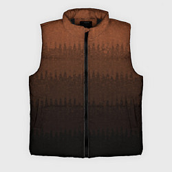 Мужской жилет Чёрно-коричневый полосы от светлого к тёмному, цвет: 3D-черный