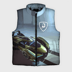 Мужской жилет Lamborghini - motorsport extreme, цвет: 3D-черный