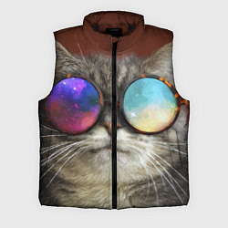 Мужской жилет A Cat with multicolored glasses