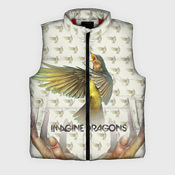 Мужской жилет Imagine Dragons: Fly, цвет: 3D-красный