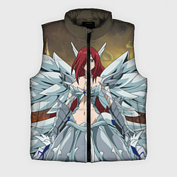 Мужской жилет Fairy tail, цвет: 3D-черный