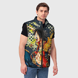 Мужской жилет One Piece, цвет: 3D-черный — фото 2