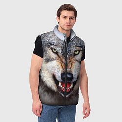 Мужской жилет Взгляд волка, цвет: 3D-черный — фото 2