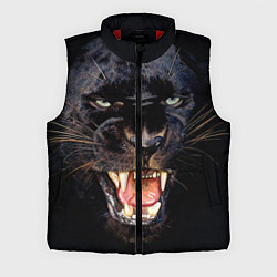 Мужской жилет Пантера