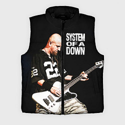 Мужской жилет System of a Down, цвет: 3D-черный