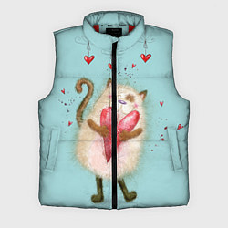 Мужской жилет Котик, цвет: 3D-красный