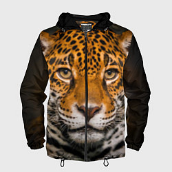 Ветровка с капюшоном мужская Взгляд ягуара, цвет: 3D-черный