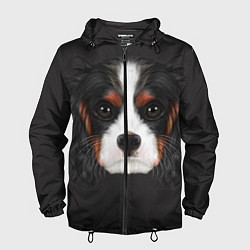 Ветровка с капюшоном мужская Cavalier King Charles, цвет: 3D-черный