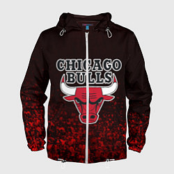 Мужская ветровка CHICAGO BULLS