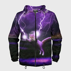 Ветровка с капюшоном мужская Кот и Молнии, цвет: 3D-черный
