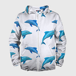 Ветровка с капюшоном мужская Рай для дельфина, цвет: 3D-белый