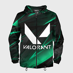Ветровка с капюшоном мужская VALORANT, цвет: 3D-черный
