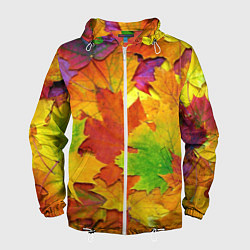 Ветровка с капюшоном мужская Осенние листья, цвет: 3D-белый