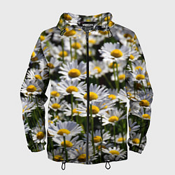 Ветровка с капюшоном мужская Ромашки, цвет: 3D-черный
