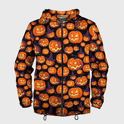 Ветровка с капюшоном мужская Halloween, цвет: 3D-черный