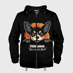 Мужская ветровка Чихуахуа Chihuahua