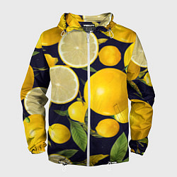 Ветровка с капюшоном мужская Лимонные дольки, цвет: 3D-белый