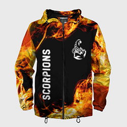 Ветровка с капюшоном мужская Scorpions и пылающий огонь, цвет: 3D-черный
