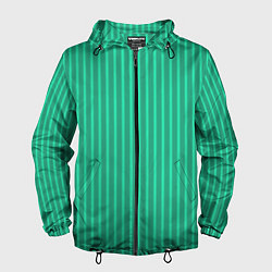 Ветровка с капюшоном мужская Зелёный Крайола полосатый, цвет: 3D-черный
