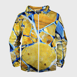 Мужская ветровка Жёлто-синяя абстракция