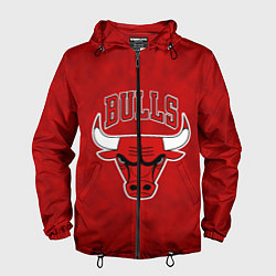 Мужская ветровка NBA Chicago Bulls