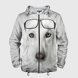 Ветровка с капюшоном мужская Собака в очках, цвет: 3D-черный