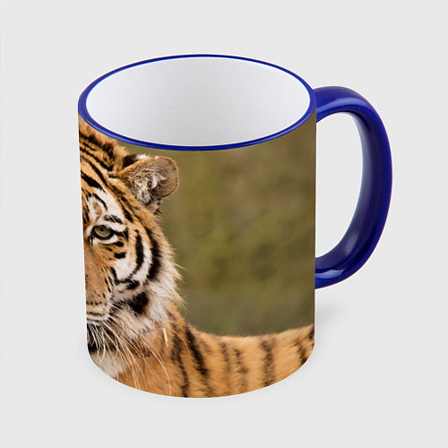 Кружка цветная Милый тигр / 3D-Синий кант – фото 1
