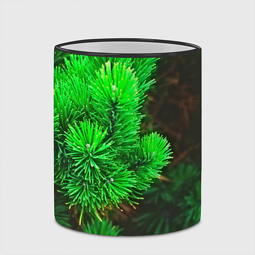 Кружка цветная Зелёная ель / 3D-Черный кант – фото 2