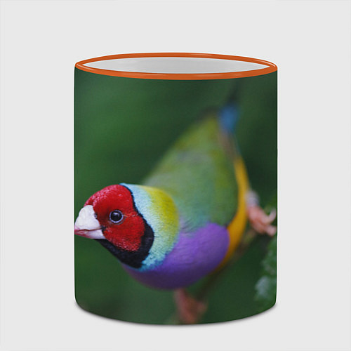 Кружка цветная Яркая птичка попугай / 3D-Оранжевый кант – фото 2