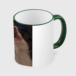 Кружка 3D Почему этот кот кричит?, цвет: 3D-зеленый кант