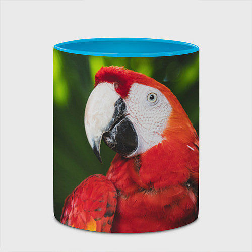 Кружка цветная Красный попугай Ара / 3D-Белый + небесно-голубой – фото 2