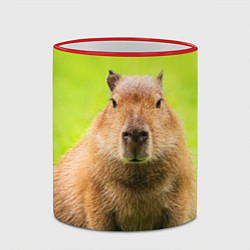 Кружка 3D Capybara on green grass, цвет: 3D-красный кант — фото 2