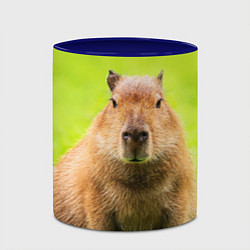 Кружка 3D Capybara on green grass, цвет: 3D-белый + синий — фото 2