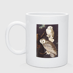 Кружка керамическая Snowy Owl Сова, цвет: белый