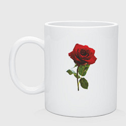 Кружка керамическая Красивая красная роза, цвет: белый