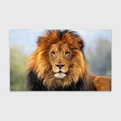 Бумага для упаковки Красавец лев, цвет: 3D-принт