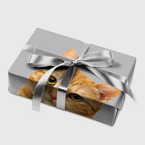 Бумага для упаковки Рыжий котик / 3D-принт – фото 2