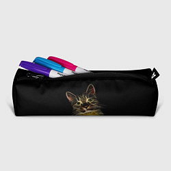 Пенал для ручек Дымчато-световой кот, цвет: 3D-принт — фото 2