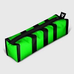 Пенал Color green black line