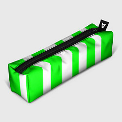 Пенал для ручек Color light green white lines, цвет: 3D-принт
