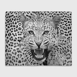 Плед флисовый Белый леопард, цвет: 3D-велсофт