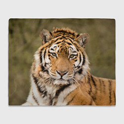 Плед флисовый Милый тигр, цвет: 3D-велсофт