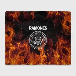 Плед флисовый Ramones, цвет: 3D-велсофт