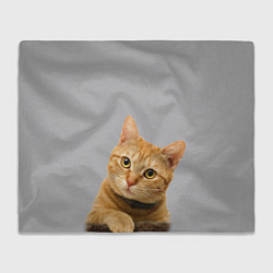 Плед флисовый Рыжий котик, цвет: 3D-велсофт